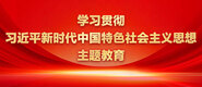 操韩国老B学习贯彻习近平新时代中国特色社会主义思想主题教育_fororder_ad-371X160(2)